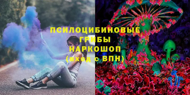 Галлюциногенные грибы Psilocybe  мориарти наркотические препараты  Звенигово 